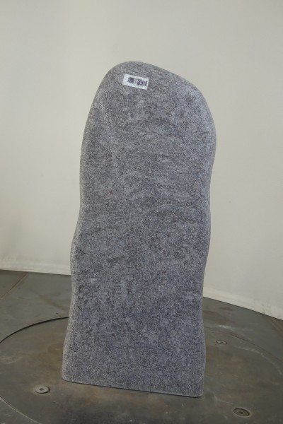 004OH001RW-3004350