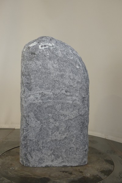 004AG001GT-3004708