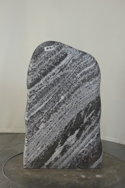 004TU001RW-3004641