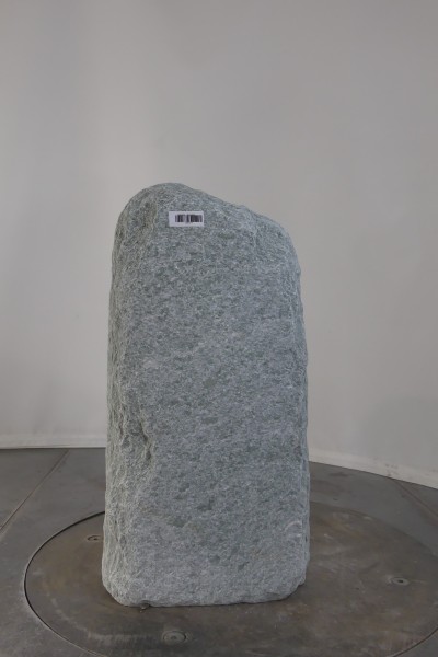 003AN001GT-3004517