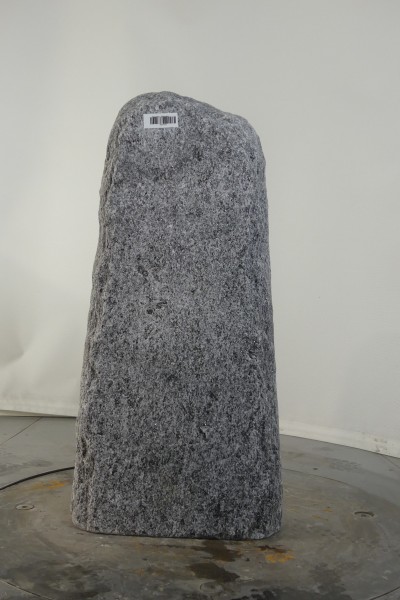 004CS001GT-3004829