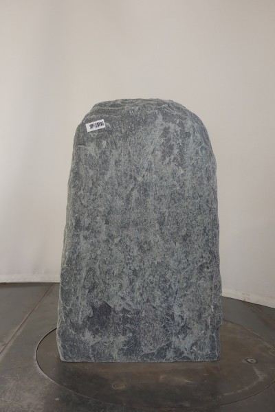 004SE001GT-3004571