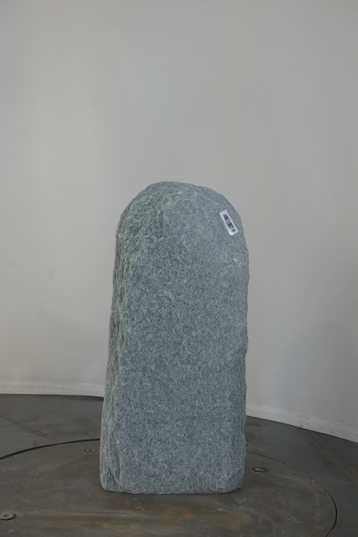 004AN001GT-3004141