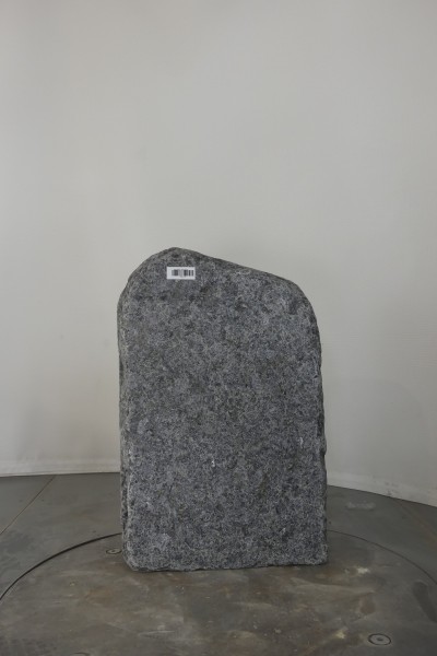 004WBN001GT-3004416