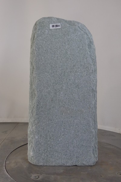 004AN001GT-3004469