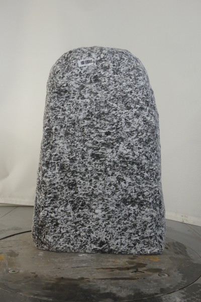 004AP001GT-3004833