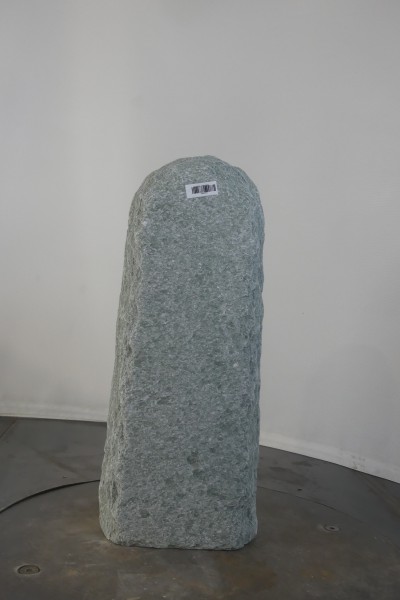 004AN001GT-3004326