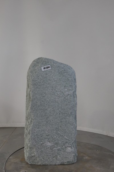 003AN001GT-3004492