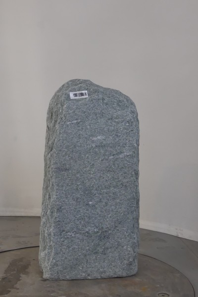 004AN001GT-3004467