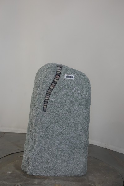 003AN321GT-3004287