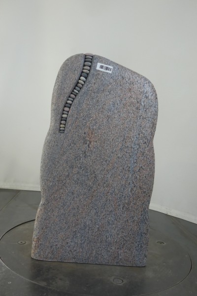006BA321RW-3004329