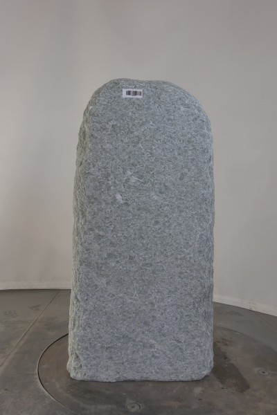 004AN001GT-3004466
