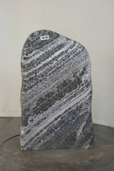 004TU001RW-3004678