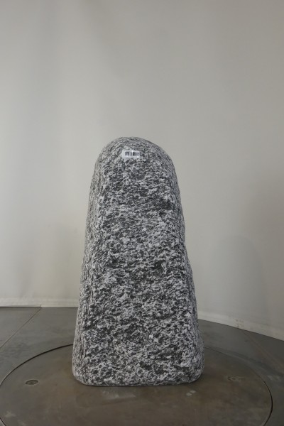 004AP001GT-3004717