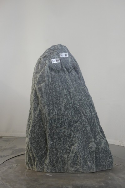 004SE++001GT-3004981