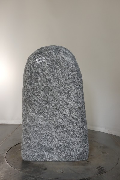 004MG001GT-3004682