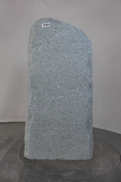 004AN++001GT-3004439