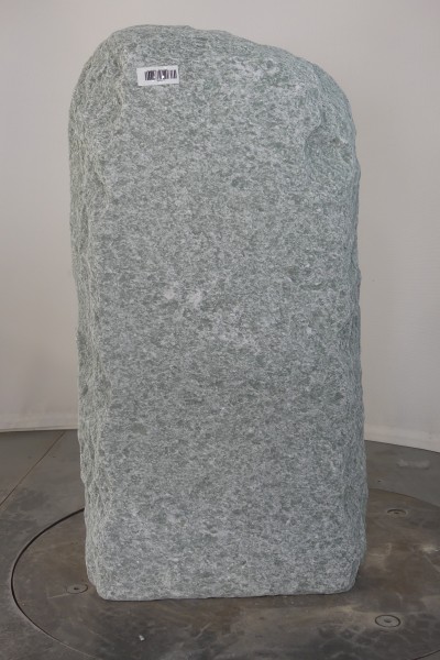 004AN001GT-3004429