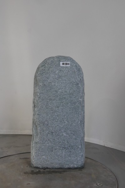 003AN001GT-3004463