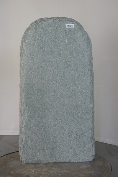 004AN001GT-3004099