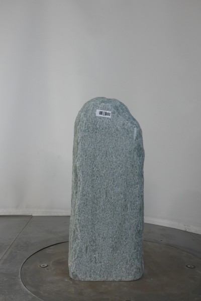 003AN001GT-3004722