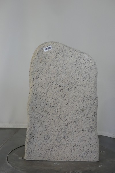 004SL001RW-3004677