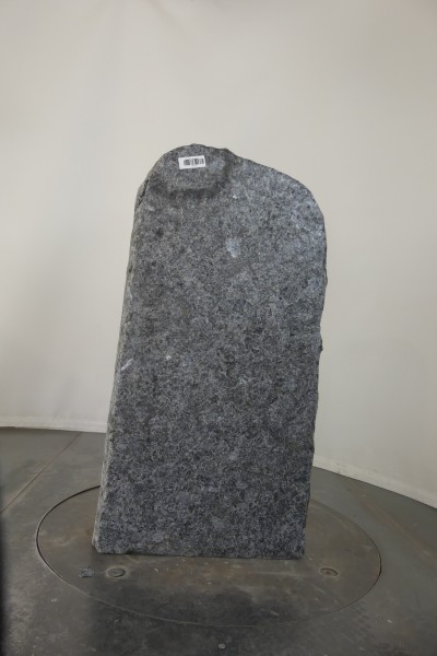 004WBN001GT-3004396