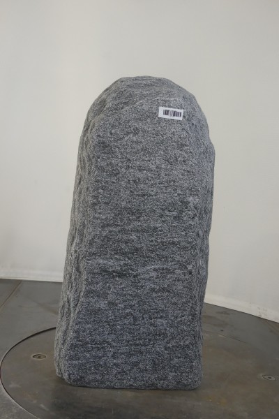 004MG001GT-3004334
