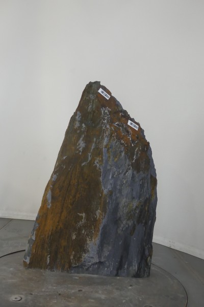 004SC001SR-3004394