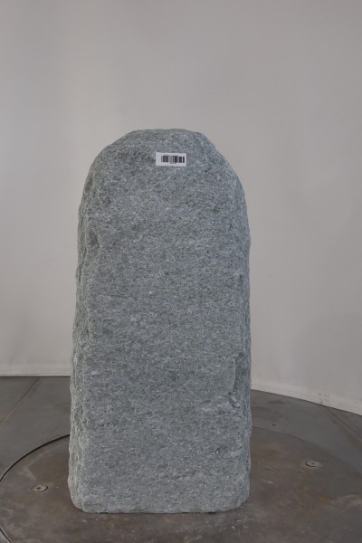 003AN001GT-3004498