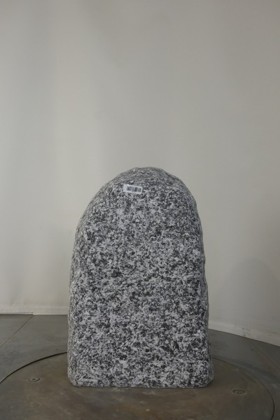 004AP001GT-3004718