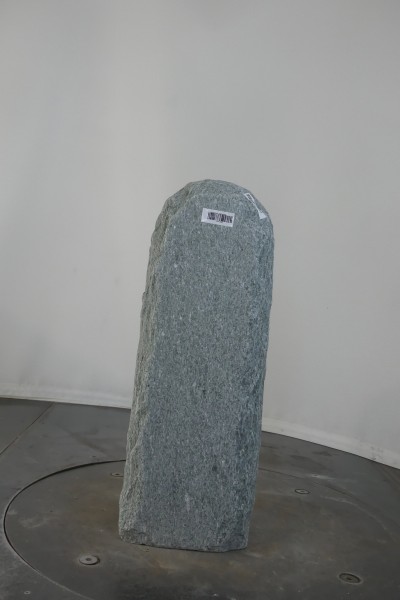 003AN001GT-3004346