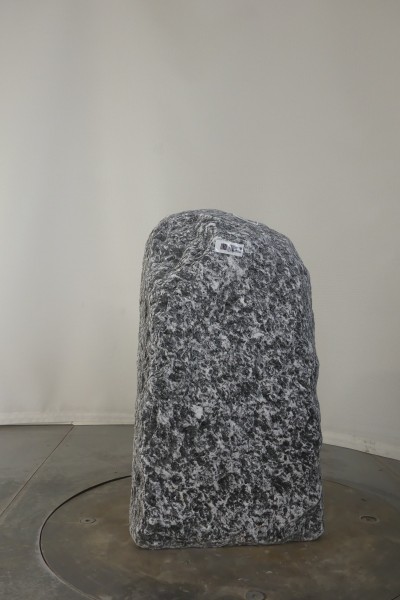 004AP001GT-3004731