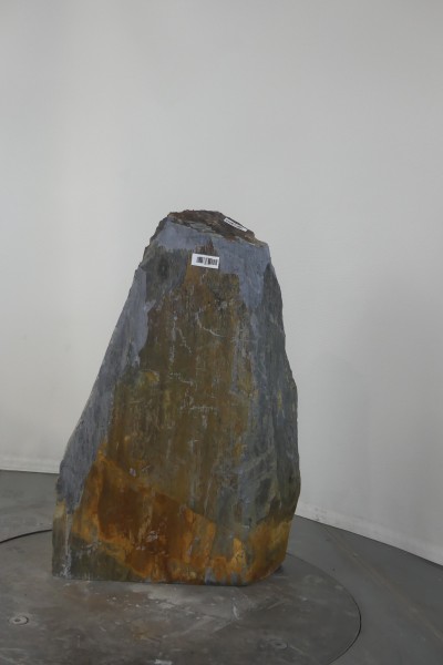 004SC001SR-3004393