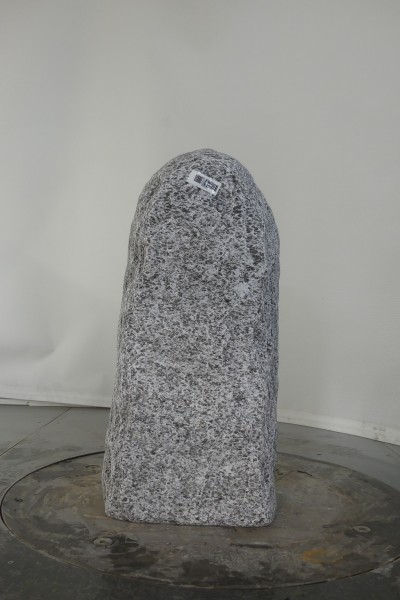 004AP001GT-3004839
