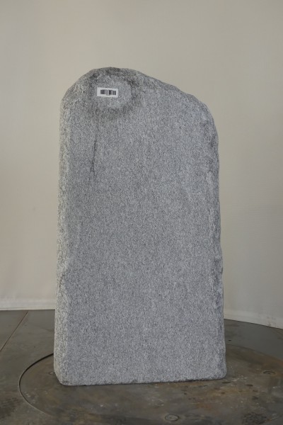 004CS001GT-3004098