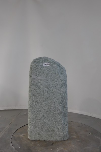 003AN001GT-3004493