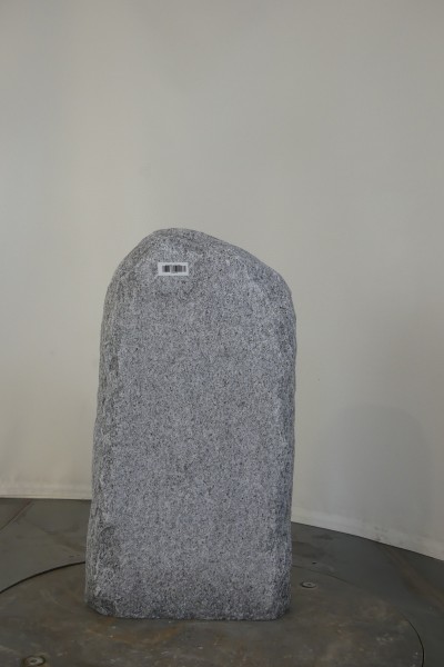 004CS001GT-3004139