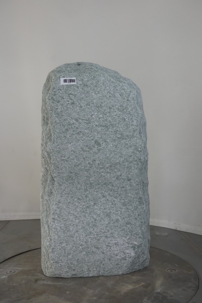 004AN001GT-3004431