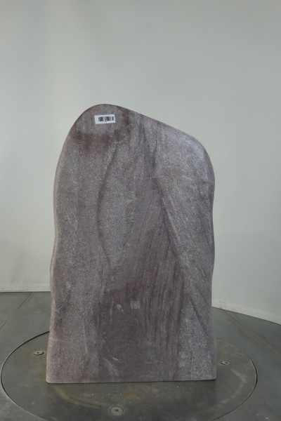 004RD001RW-3004495