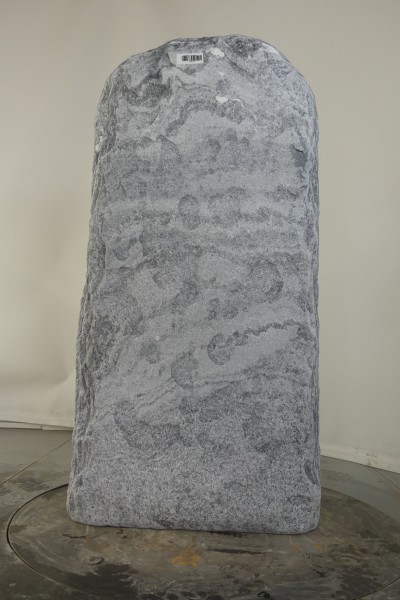 004AG001GT-3004844