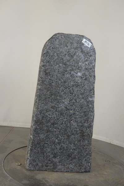 004WBN001GT-3004304