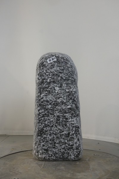 004AP001GT-3004934