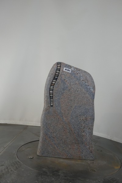 004BA321RW-3004210