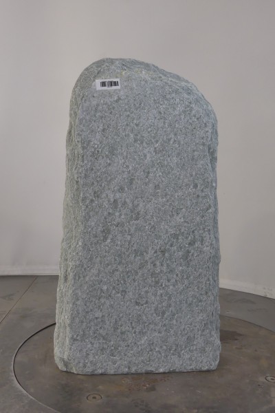 004AN001GT-3004464