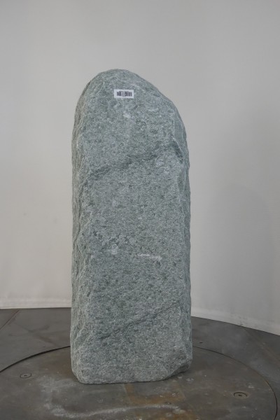 004AN001GT-3004043