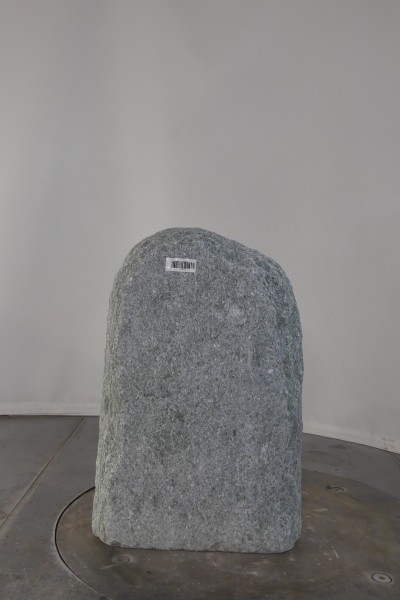 003AN001GT-3004511