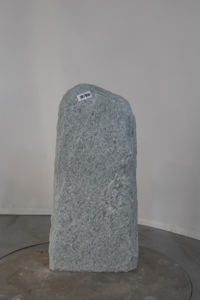004AN001GT-3004509