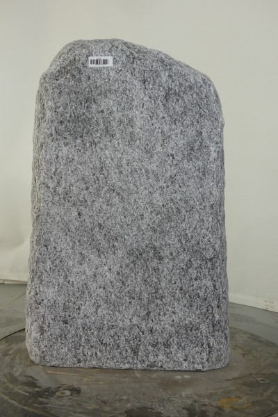 004CS001GT-3004838