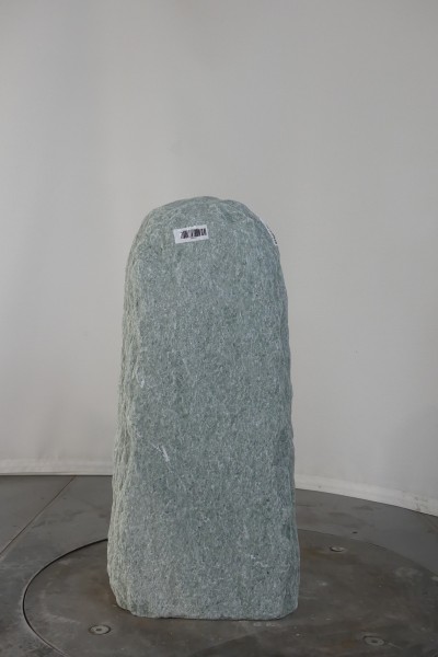 004AN001GT-3004627